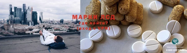 стаф Сясьстрой