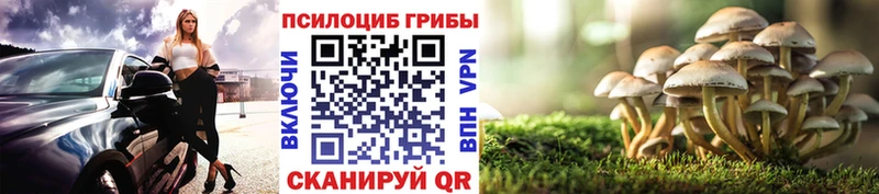 где купить наркотик  Снежинск  shop состав  Галлюциногенные грибы прущие грибы 