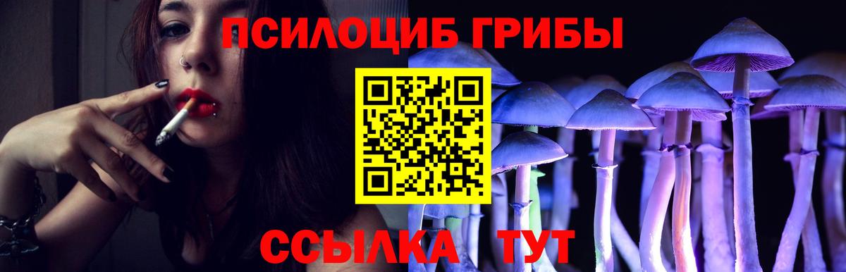 Галлюциногенные грибы MAGIC MUSHROOMS  Вход с VPN  Снежинск 